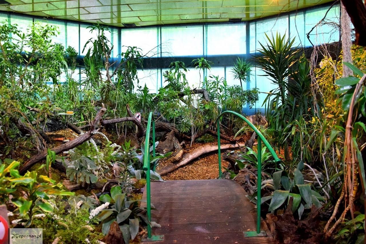 fot. ZOO Poznań Official / Facebook
