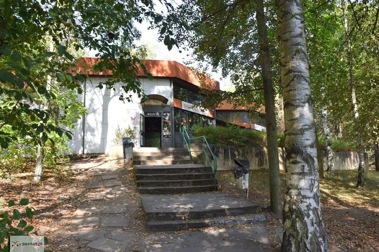 fot. ZOO Poznań Official / Facebook