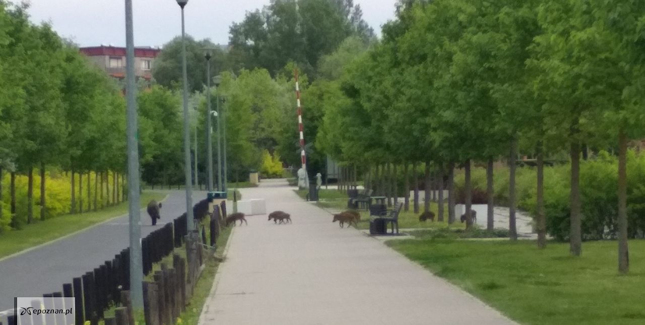 fot. Czytelnik