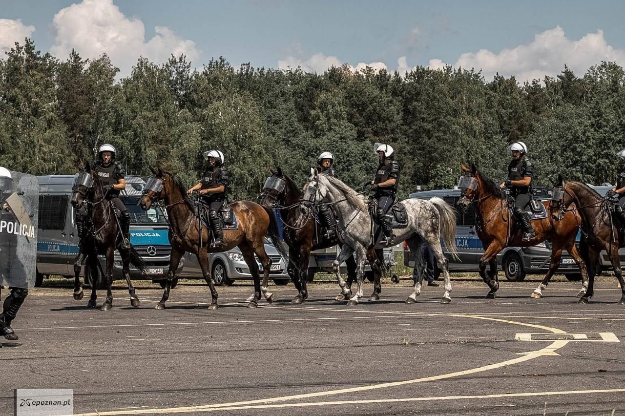 fot. policja