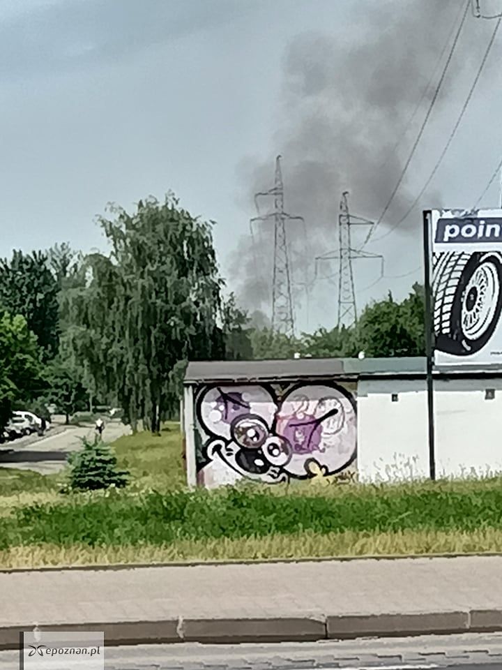 fot. Czytelniczka