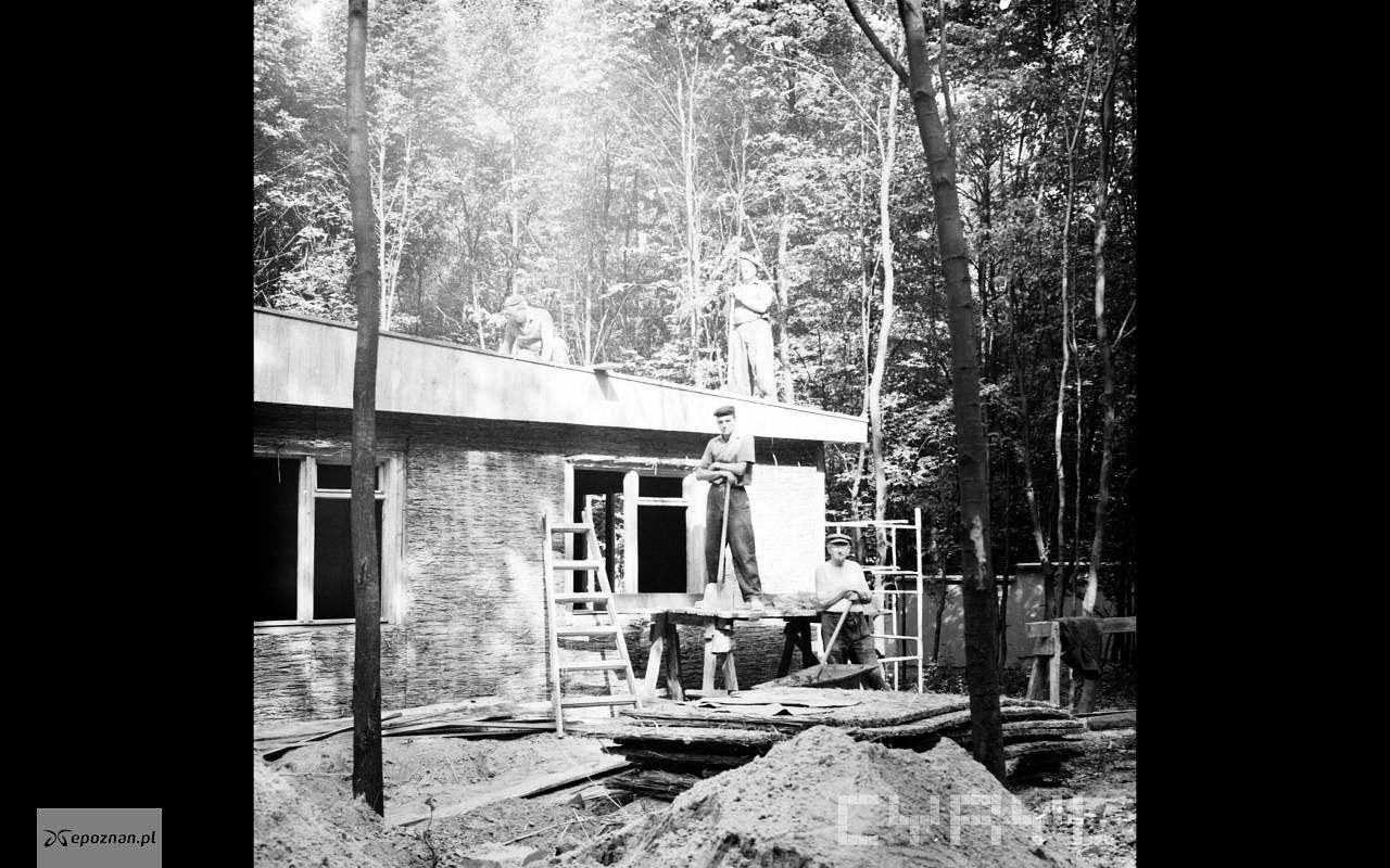 kolekcja ZOO / CYRYL | fot. Budowa jednego z pawilonów w 1971 roku