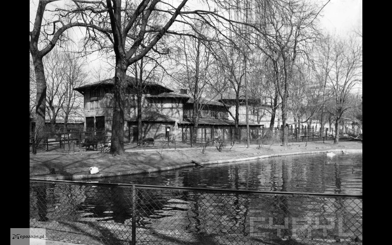 kolekcja ZOO / CYRYL | fot. Słoniarnia w Starym ZOO w 1968 roku