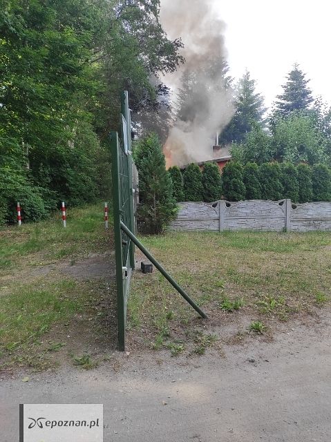 fot. Czytelnik