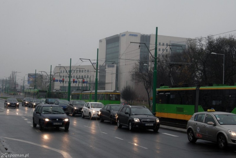 fot. Piotr Knach
