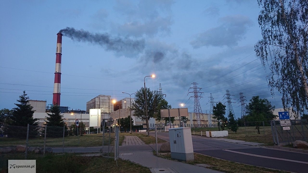 fot. Mikołaj / archiwum