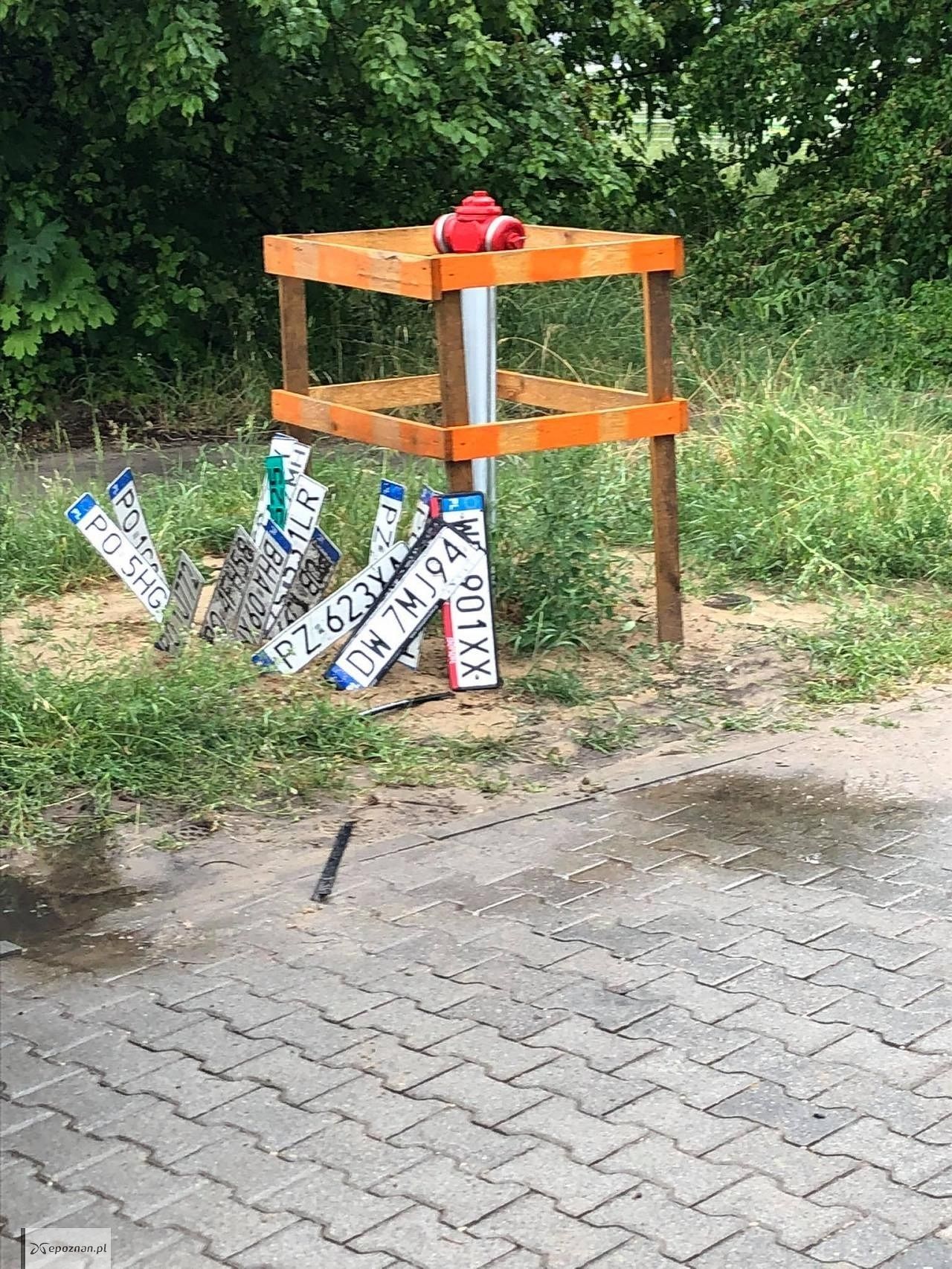 Strzeszyńska / Druskienicka | fot. Leszek