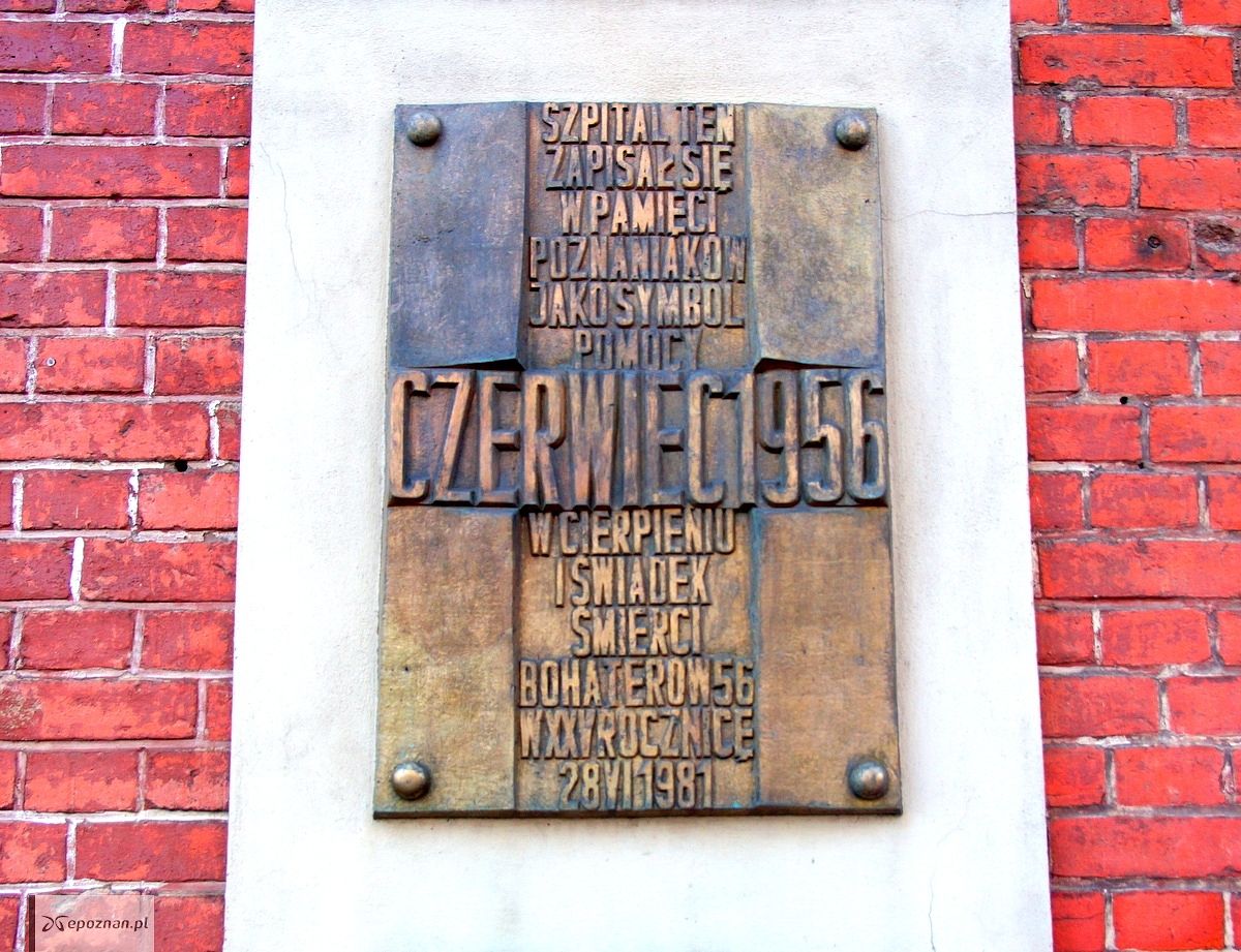fot. Włodzimierz Hoppel