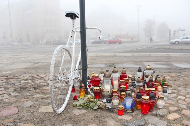 fot. Adrian Potrawiak