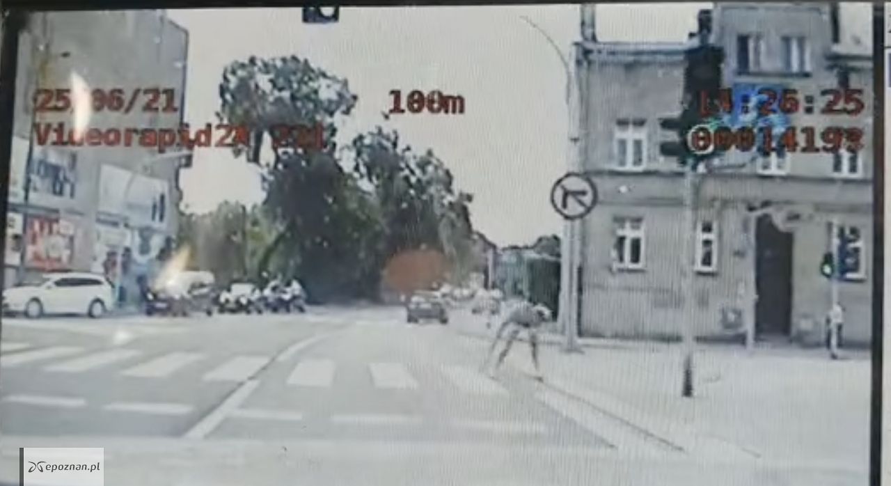fot. policja Gniezno