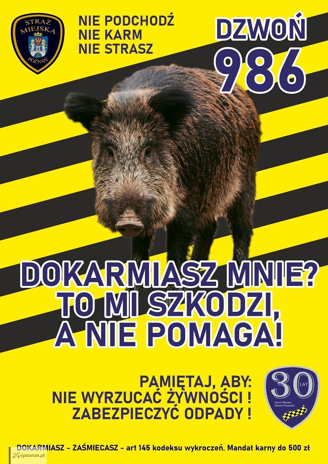 fot. SM