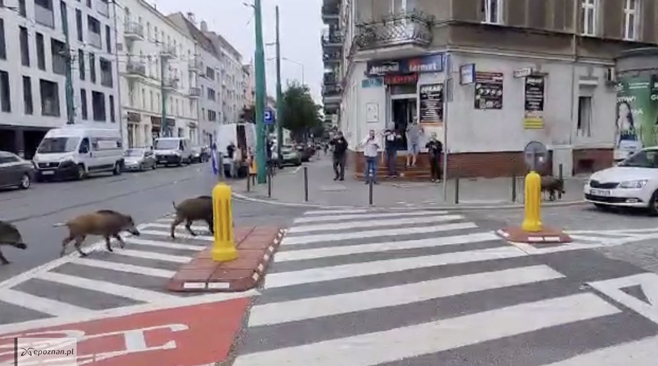 fot. Michał