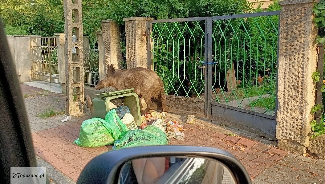 Ulica Ziemowita | fot. Czytelnik