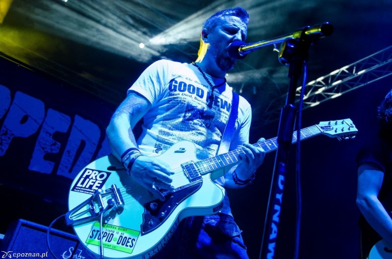 Festiwal LuxFest 2013 | fot. Mateusz Gawarecki