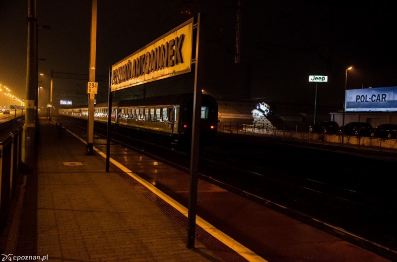 fot. Mateusz Gawarecki