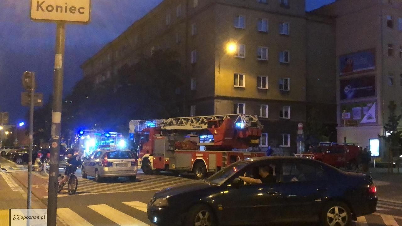 fot. Czytelniczka