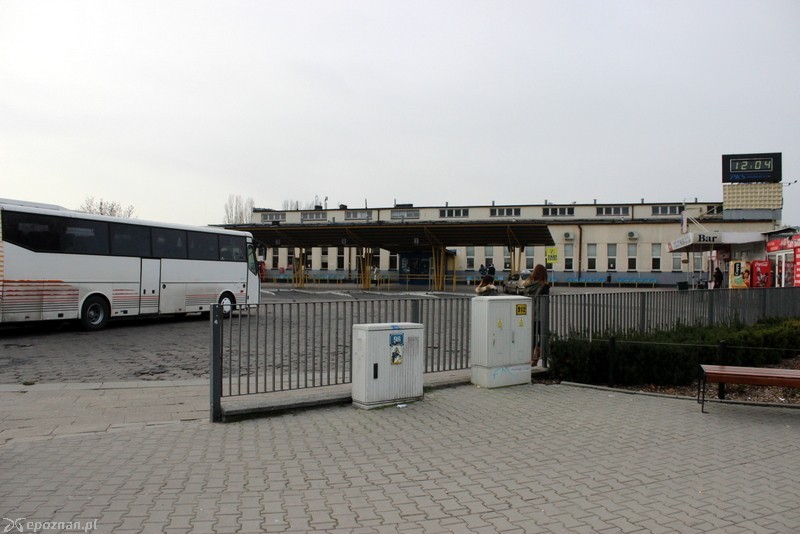 fot. Mariusz Potrawiak 
