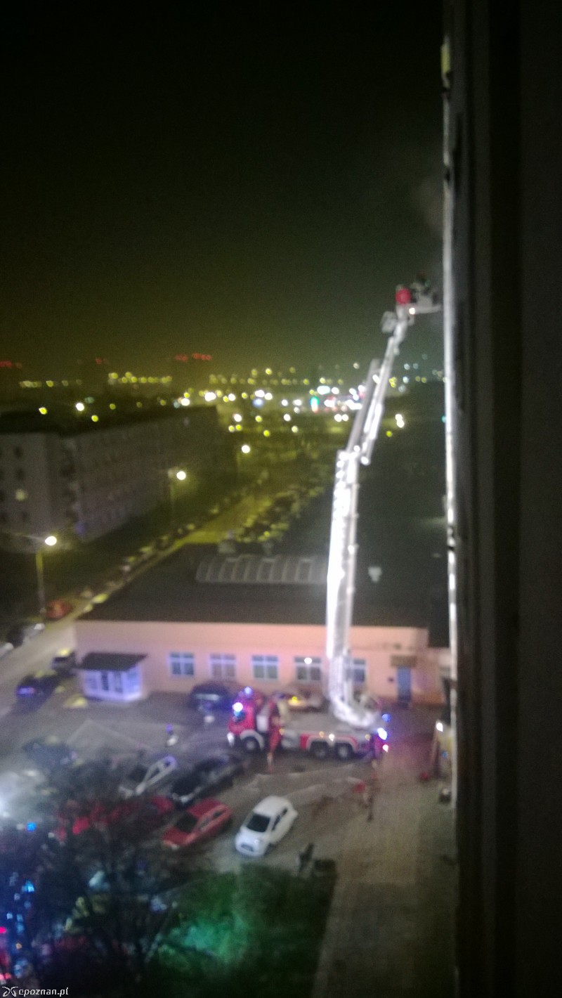 fot. Łukasz