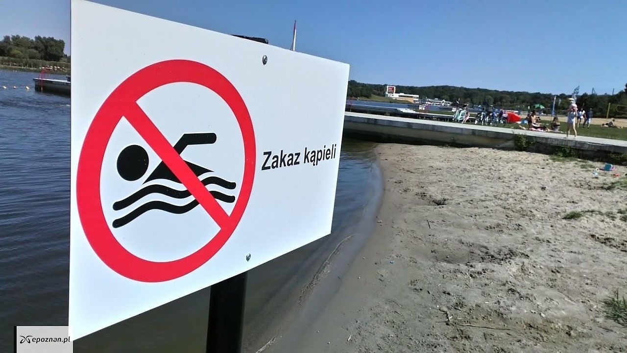 Zdjęcie ilustracyjne | fot. Przemek Kwiatkowski
