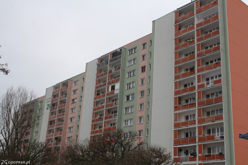 fot. Andrzej Urbanowicz