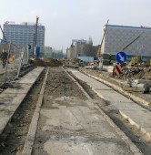 fot. Elżbieta Skowron