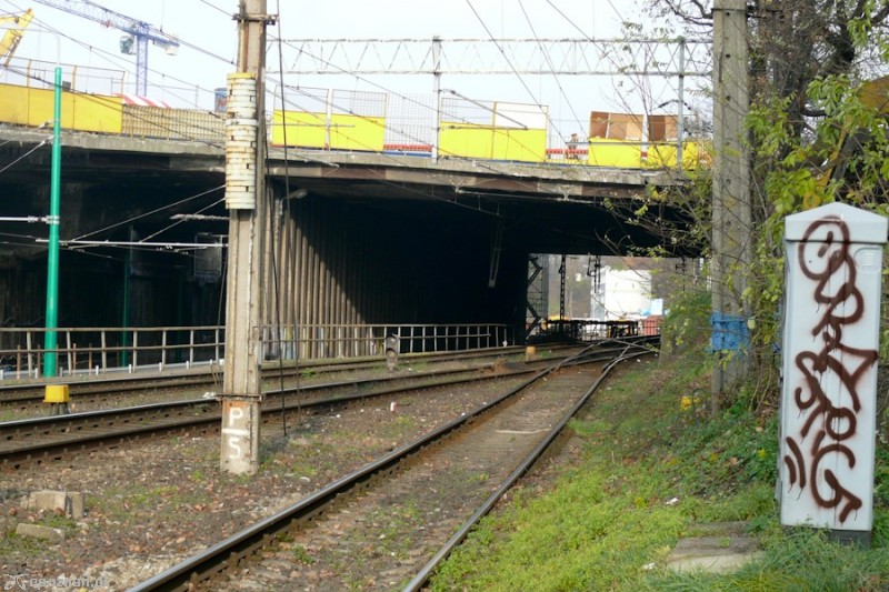 fot. Elżbieta Skowron