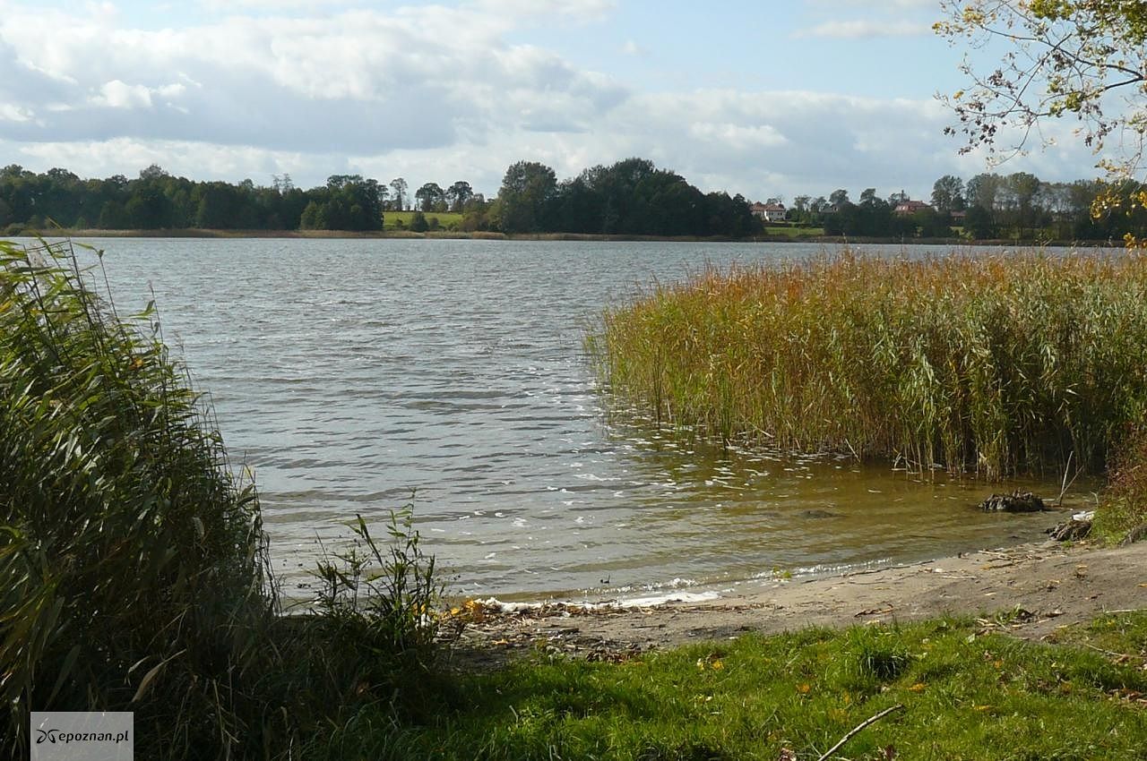 fot. Autorstwa MOs810 - Praca własna, CC BY-SA 3.0, https://commons.wikimedia.org/w/index.php?curid=21975828
