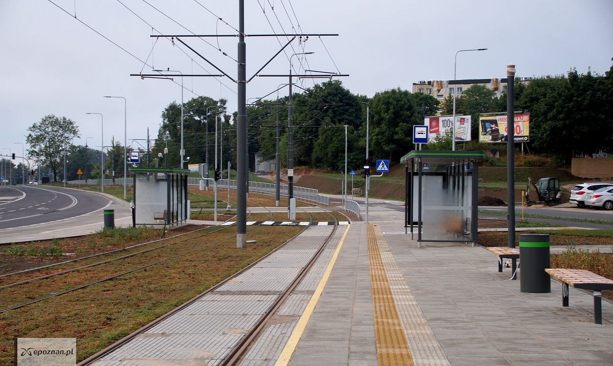 fot. Włodzimierz Hoppel