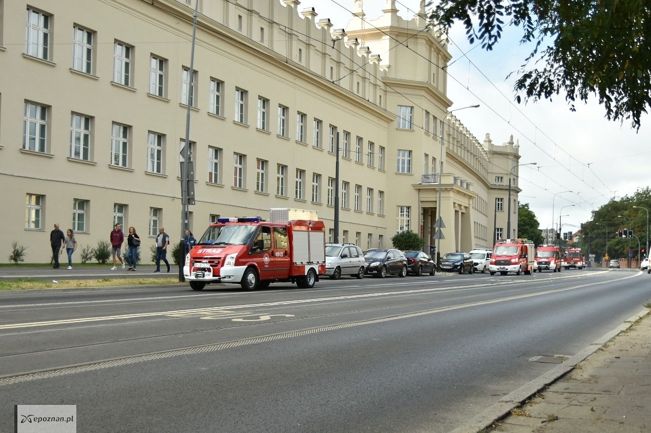 fot. Przemysław Łukaszyk