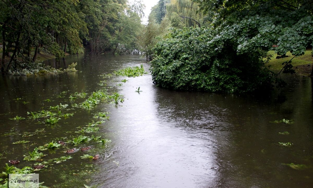 fot. Włodzimierz Hoppel