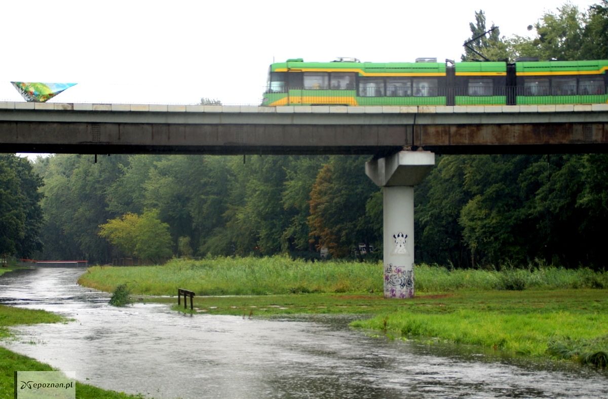 fot. Włodzimierz Hoppel