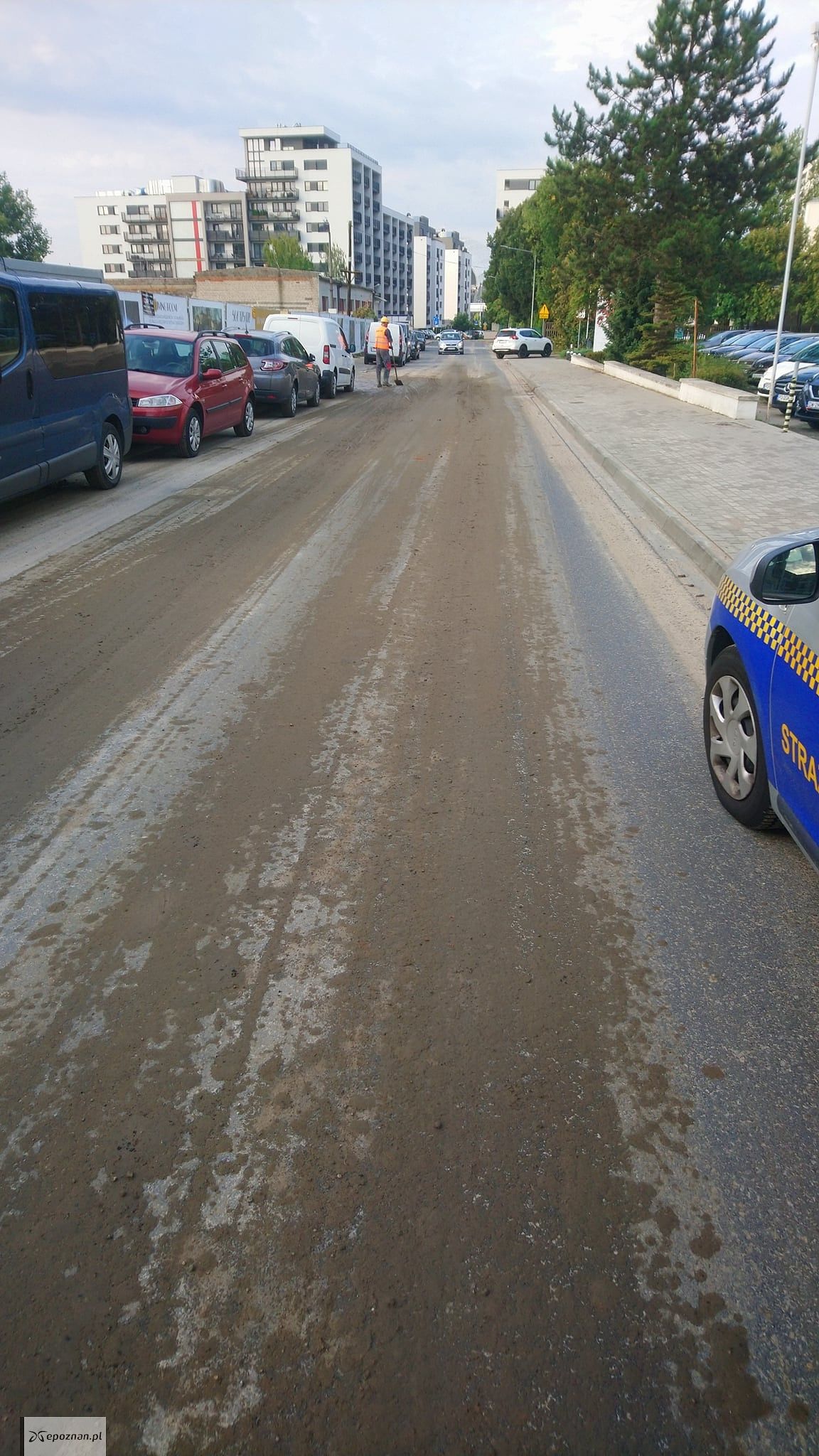 fot. Straż miejska