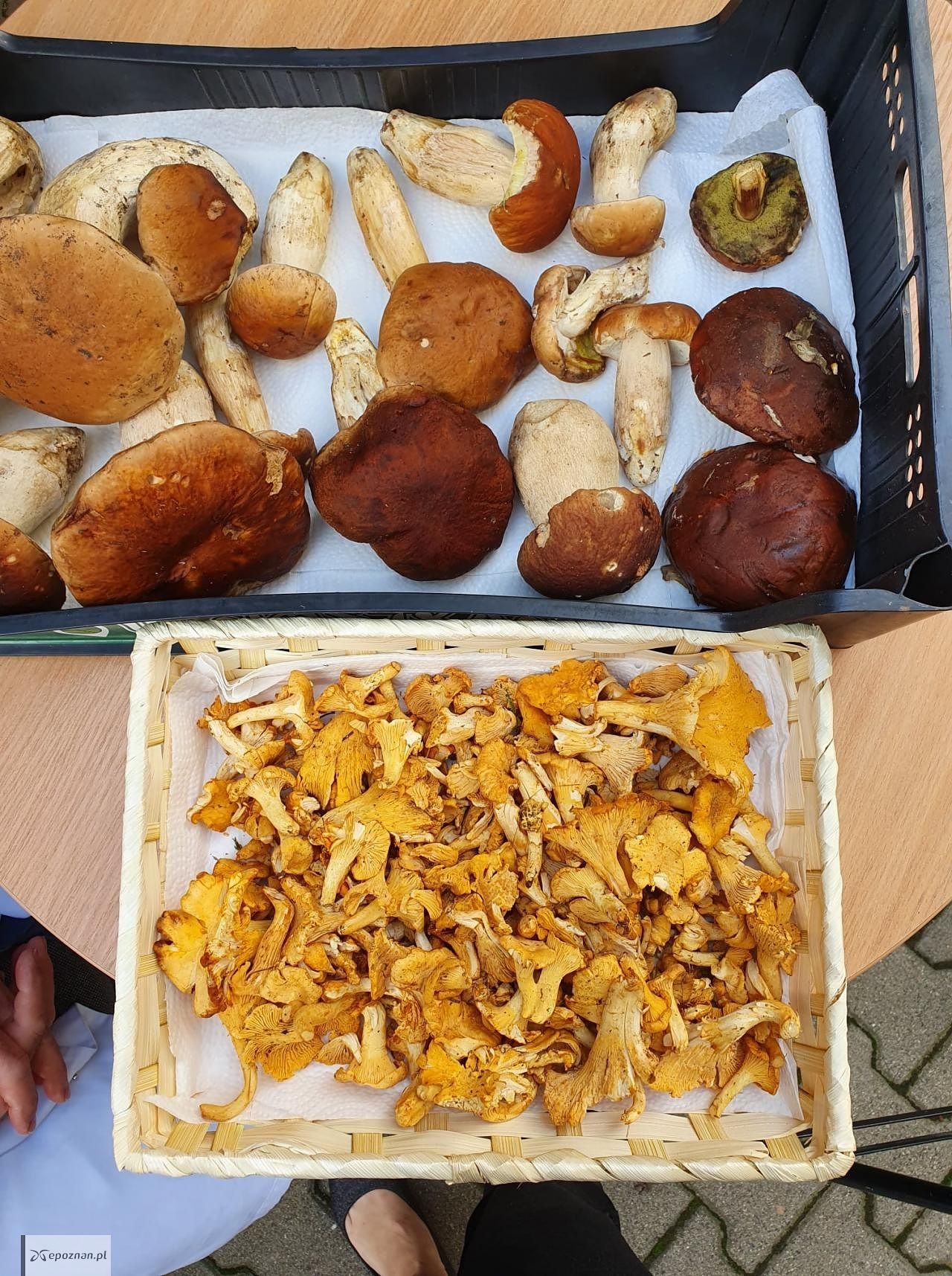 fot. Wielkopolski sanepid
