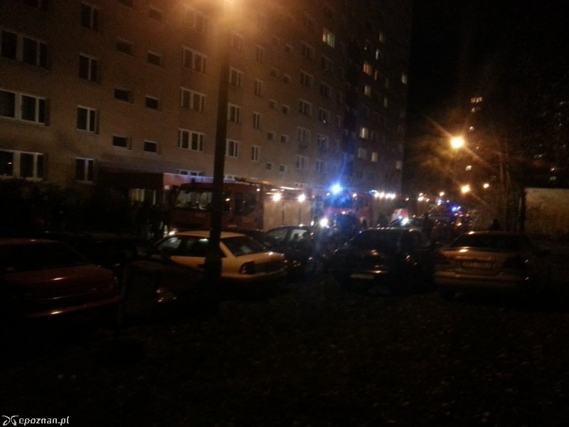 fot. Maciej