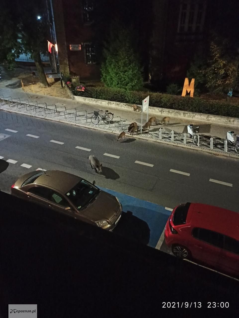 Jarochowskiego | fot. Czytelnik