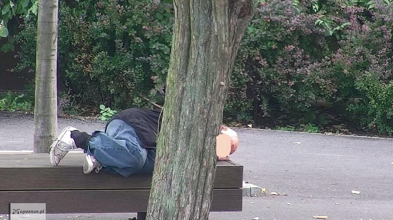 fot. Straż miejska