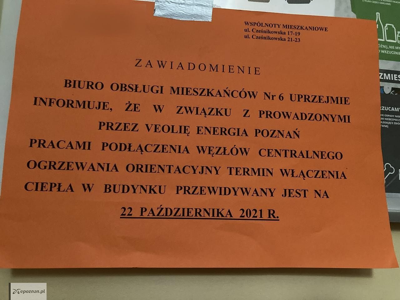 fot. Czytelniczka
