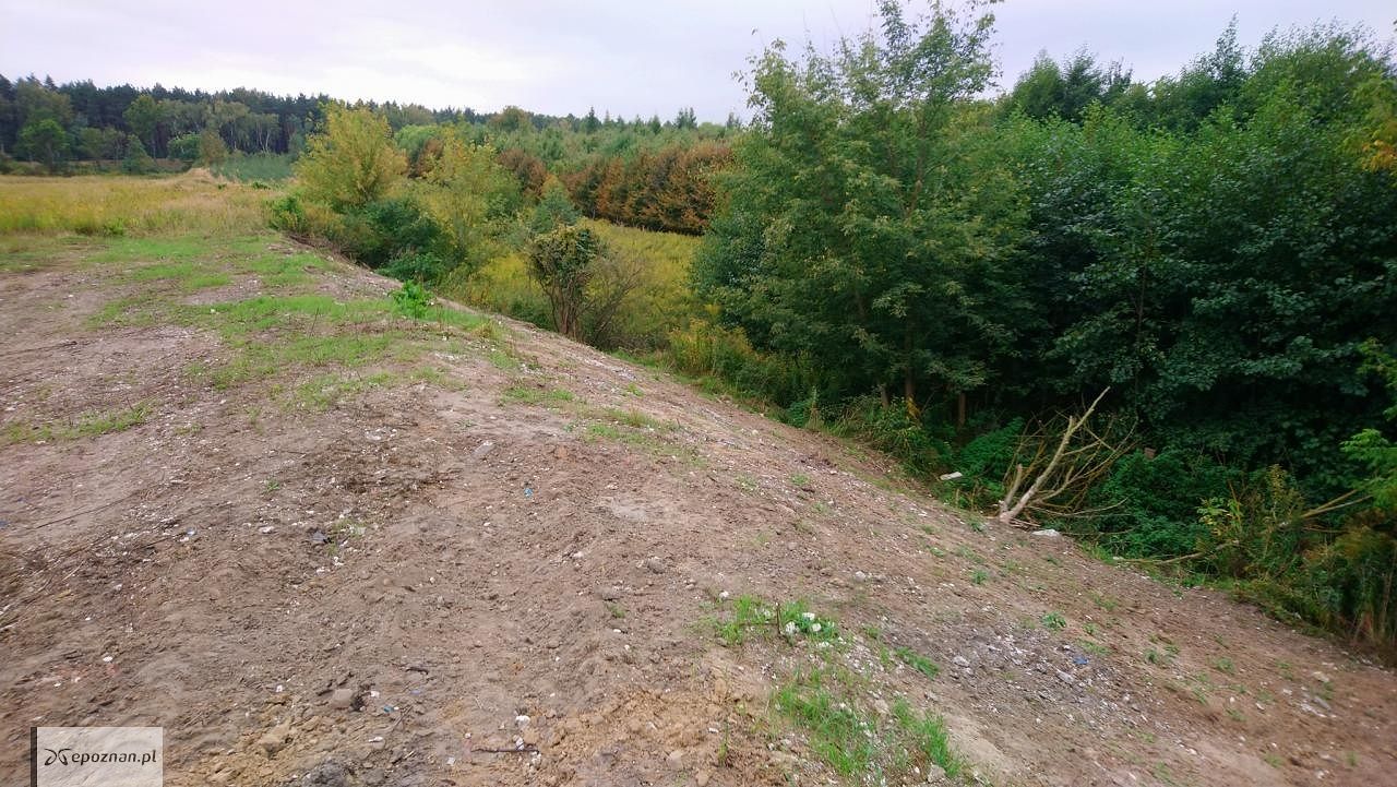 fot. Straż miejska