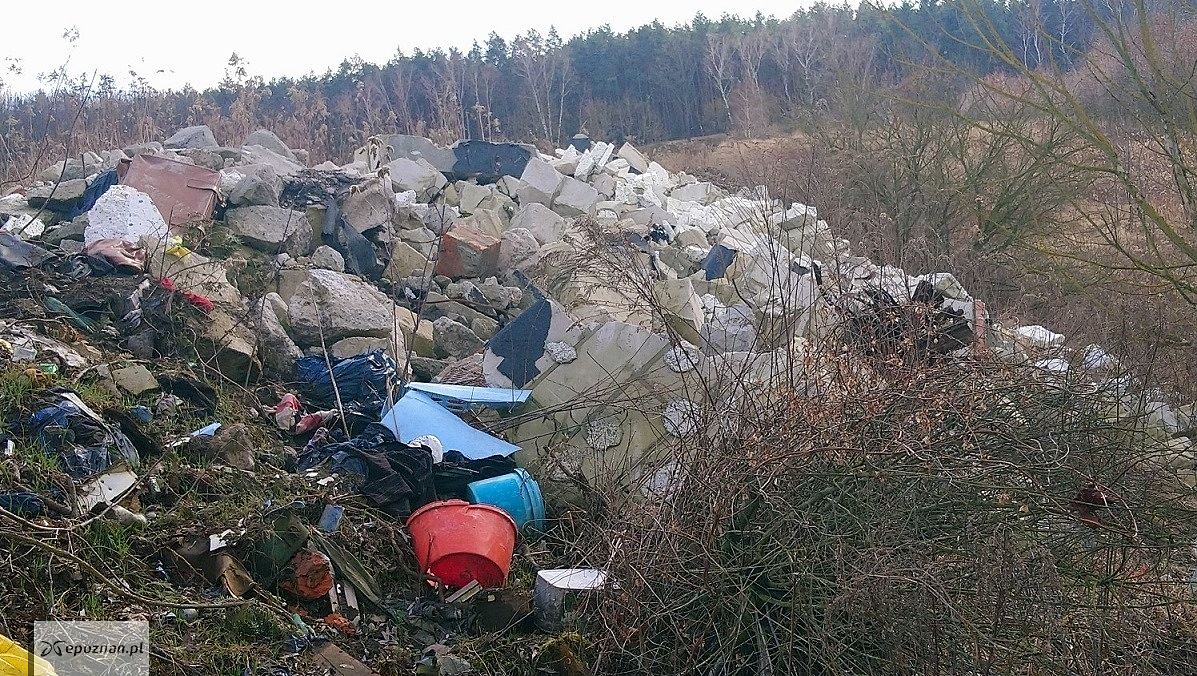 fot. Straż miejska