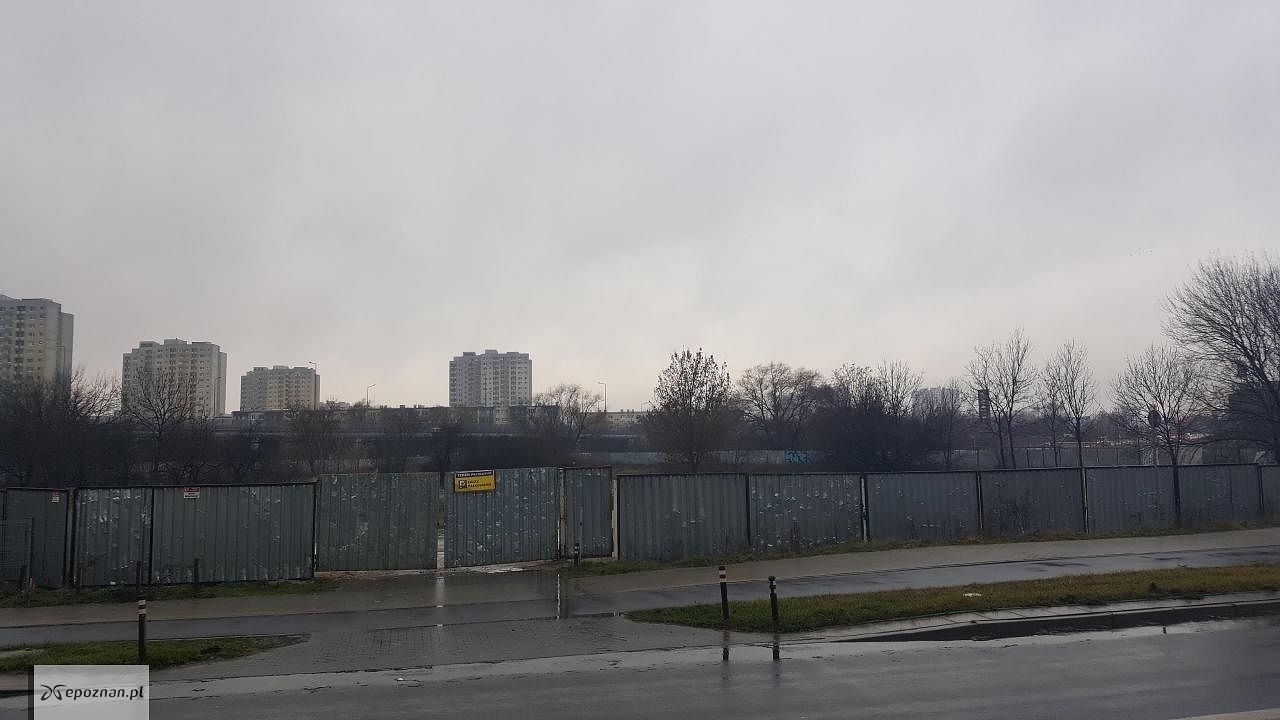 Zdjęcie z grudnia 2020 roku | fot. Czytelnik