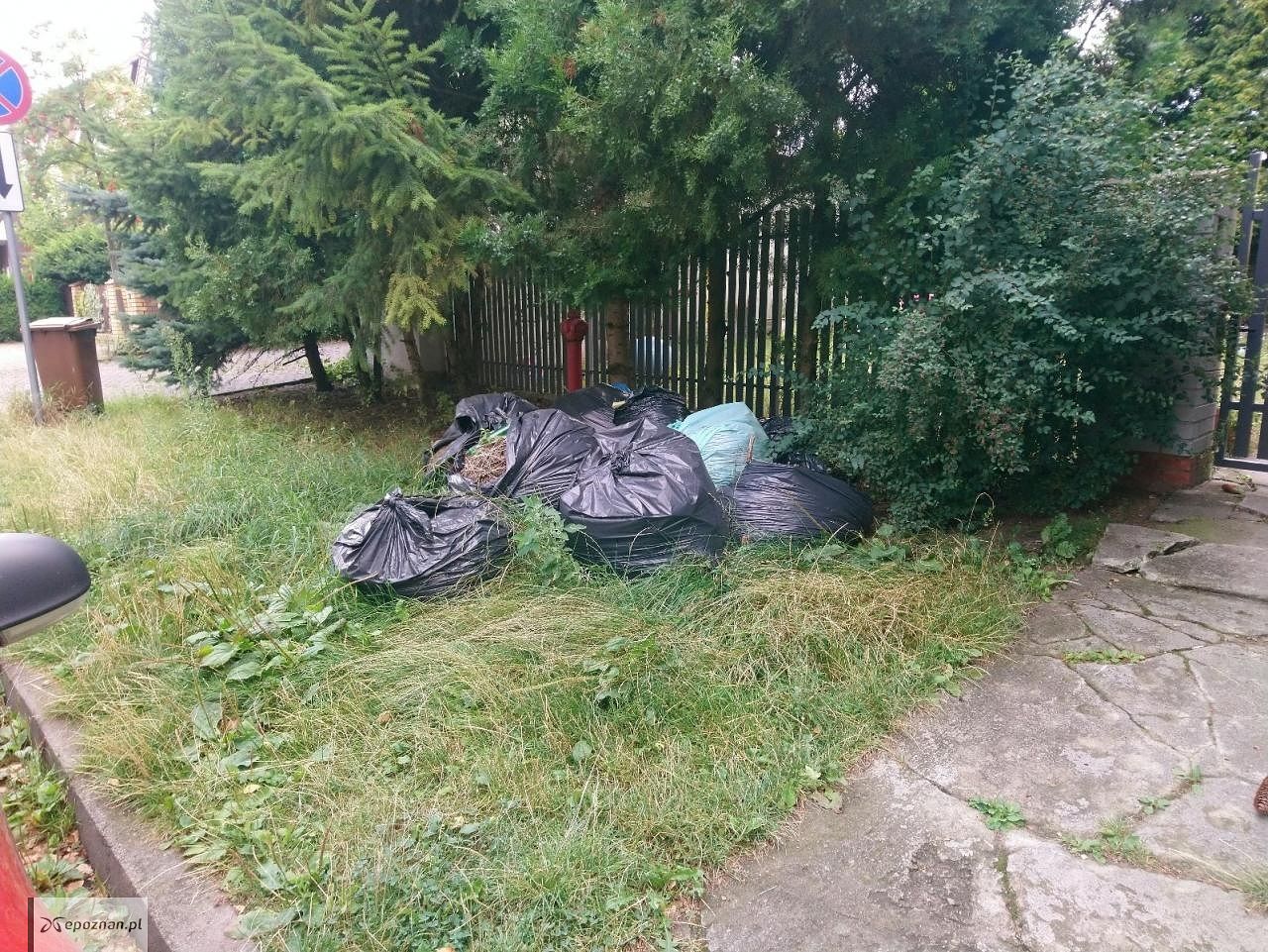 fot. Straż miejska