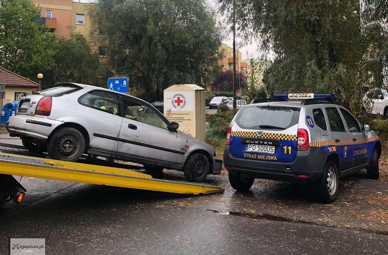 fot. Straż miejska