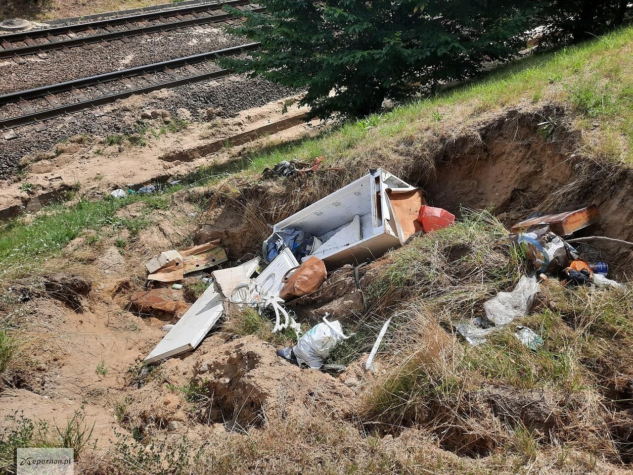 fot. Straż Miejska