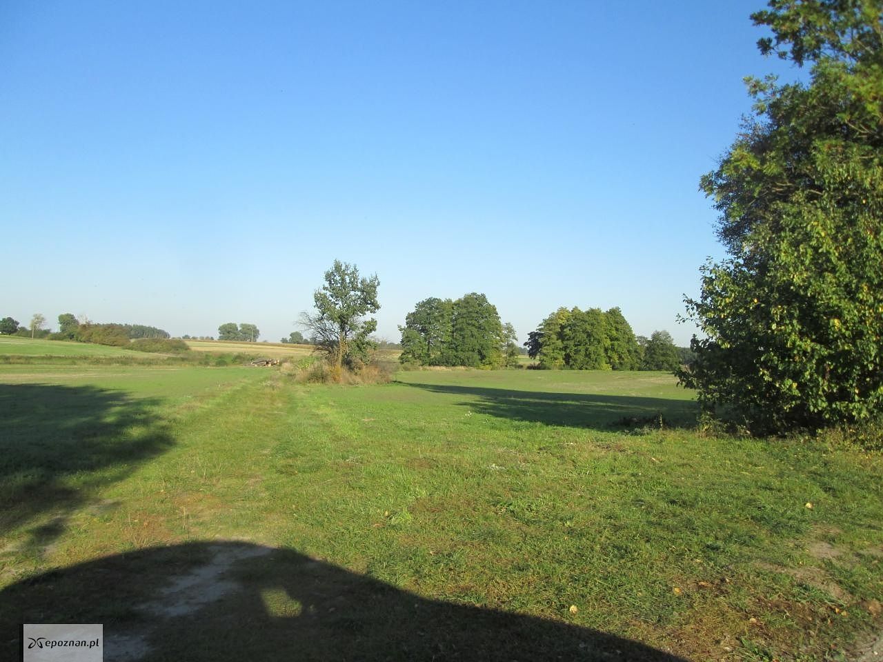 fot. Czytelnik