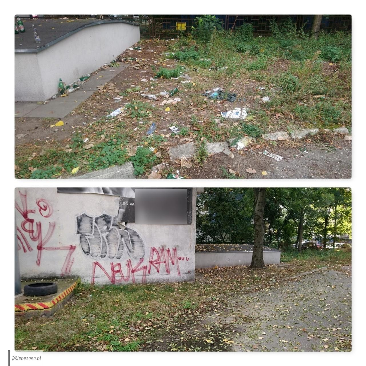 fot. Straż Miejska
