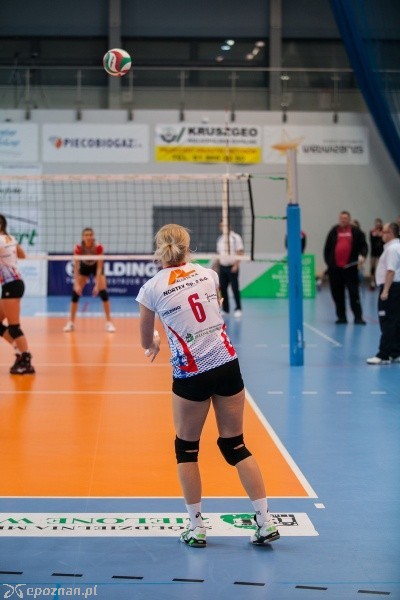 KS Murowana Goślina - TKS-T Budowlani Toruń 0:3 | fot. Tomasz Szwajkowski