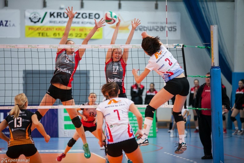 KS Murowana Goślina - TKS-T Budowlani Toruń 0:3 | fot. Tomasz Szwajkowski