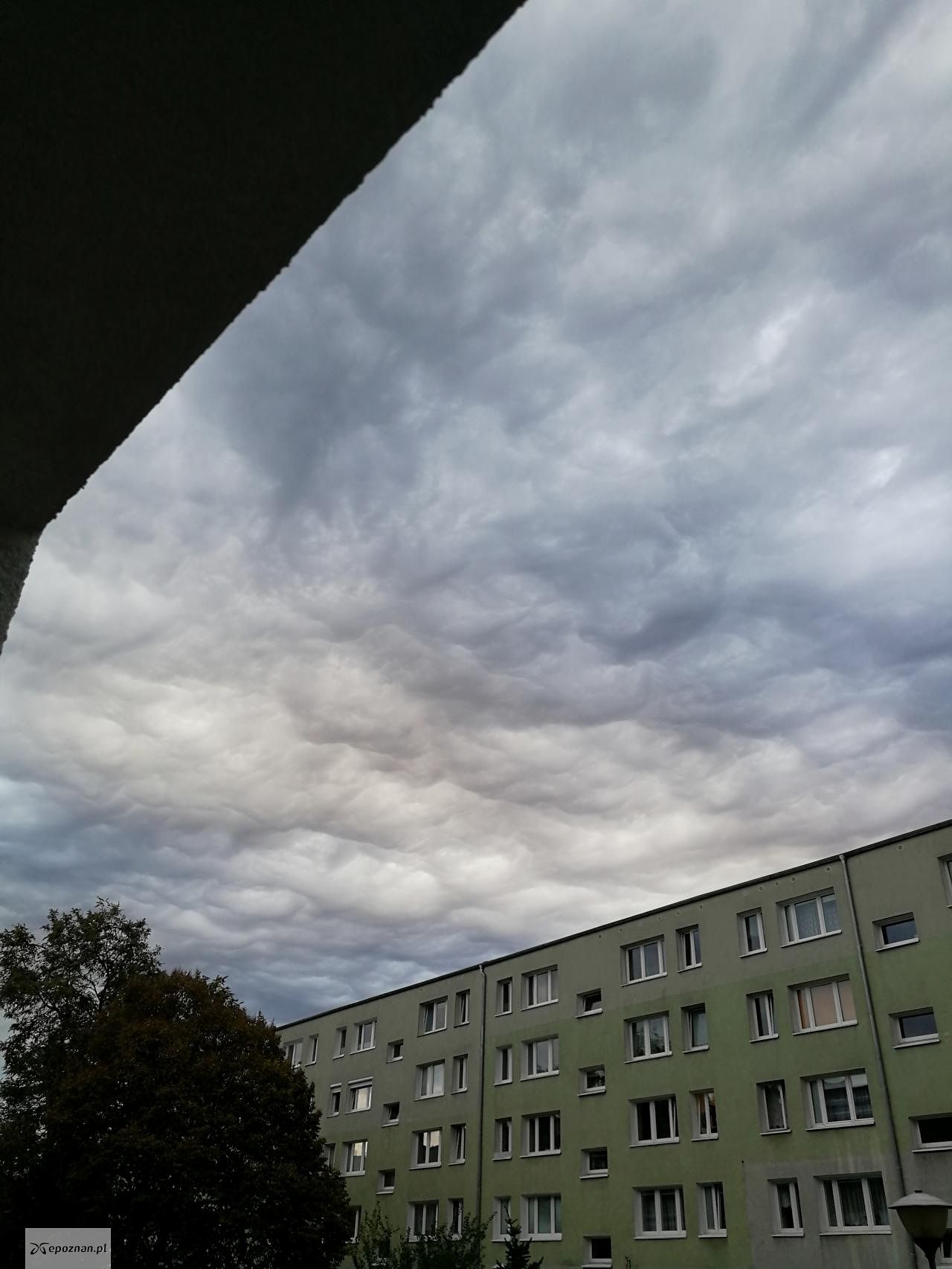 fot. Kamila