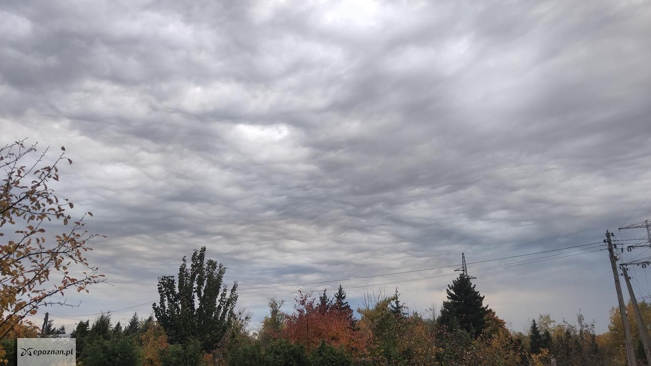 Tu fal widać mniej | fot. Czytelnik