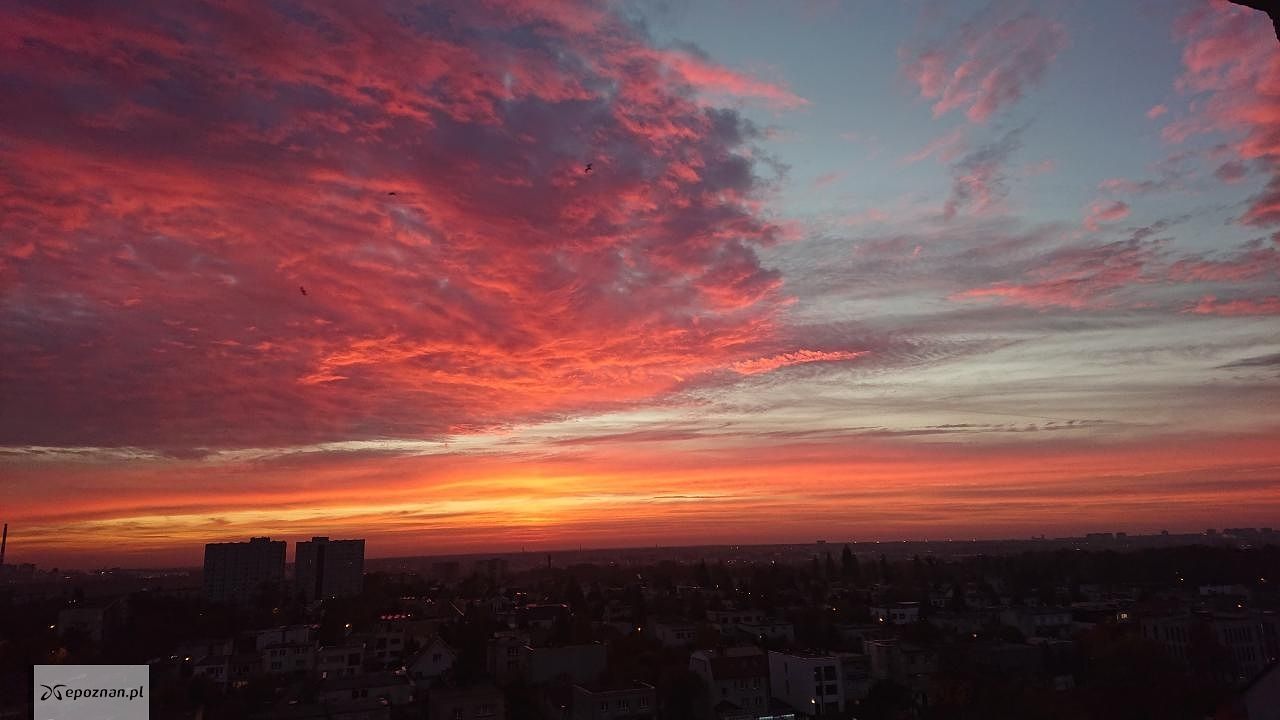 fot. Monika